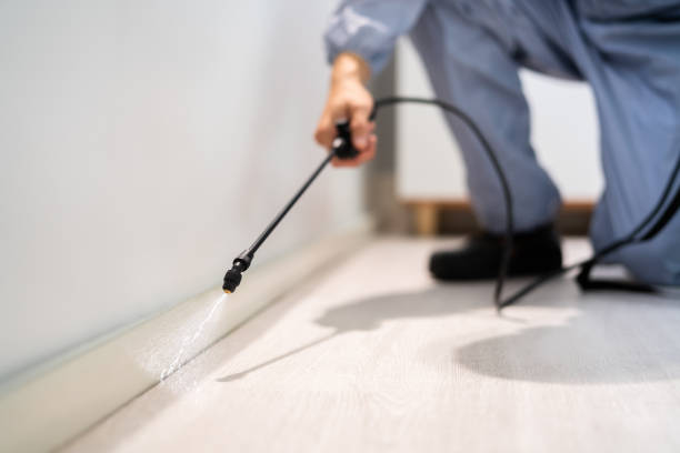 Professional Pest Control in Rifle, CO