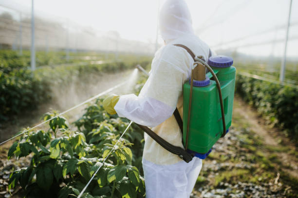 Best Wasp Removal Services  in Rifle, CO